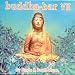 Buddha Bar Vol.7