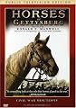 Horses of Gettysburg - CIVIL WAR MINUTES IV Public Television Edition DVD