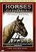 Horses of Gettysburg - CIVIL WAR MINUTES IV Public Television Edition DVD