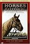 Horses of Gettysburg - CIVIL WAR MINUTES IV Public Television Edition DVD