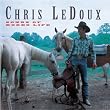 Songs Of Rodeo Life