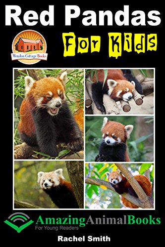 Red Pandas For Kids (Amazing Animal Books For Young Readers Book 15)