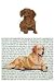 Dachshund (Smooth, Red) Glass Cutting Board