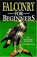 Falconry For Beginners