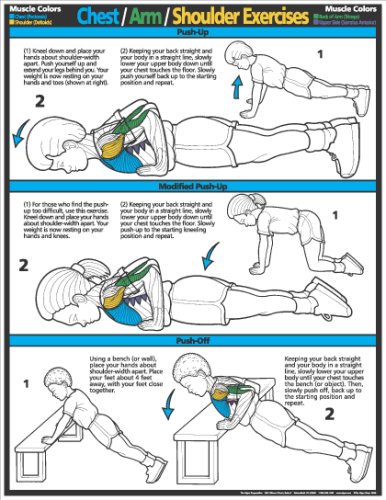 Chest, Arm, Shoulder 17