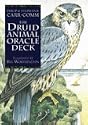 The Druid