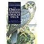 The Druid Animal Oracle Deck