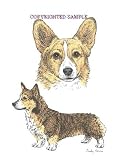 Welsh Corgi - Double Image by Cindy Farmer
