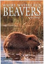 Beavers Where Waters Run