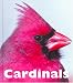 Cardinals (Naturebooks) by Patrick Merrick