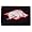 Arkansas Razorbacks