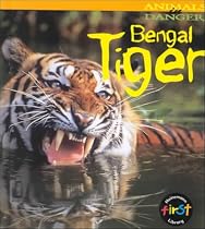Bengal Tiger
