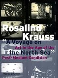 A Voyage on the North Sea: Art in the Age of the Post-Medium Condition (Walter Neurath Memorial Lecture)