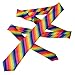 TopTie Unisex Diagonal Colorful Rainbow Stripe Skinny 2 Inch Necktie