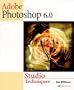 Adobe(R) Photoshop(R) 6.0 Studio Techniques