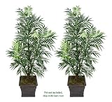 TWO 64" Artificial Phoenix Areca Palm Trees