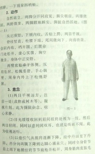 陳式太極拳入門　馮　志強