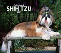 For the Love of Shih Tzu 2007 Deluxe Calendar (Multilingual Edition)