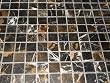 1x1 Michael Angelo Black Polished Marble