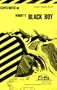 Black Boy (Cliffs Notes)