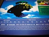 Hayao Miyazaki: Laputa - Castle In The Sky / Region Free DVD / Audio: English, French, Simp. And Trad. Chinese, Japanese, Thai / Subtitle: English, French, German, Japanese, Chinese, Korean, Thai