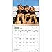 Airedale Terriers 2015 Wall Calendar