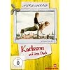 Karlsson auf dem Dach
