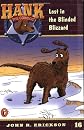 Lost in the Blinded Blizzard