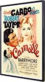 Camille 11