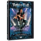 Click here to buy Jack in the Green: Live in Germany.