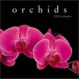 Orchids 2003 Calendar