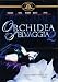 Orchidea Selvaggia 2