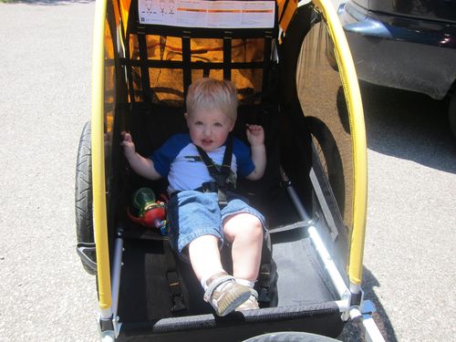 bumble bee bike trailer