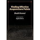 Click here to buy Finding Effective Acupuncture Points by Shudo Denmei and Stephen Brown.