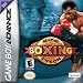 Mike Tyson Boxing
