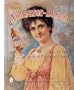 Vintage Anheuser-Busch: An Unauthorized Collector's Guide (A Schiffer Book for Collectors)