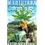 Marijuana: Jorge's RX