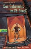 Das Geheimnis im 13. Stock