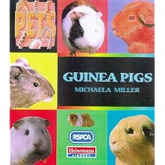 Guinea Pigs (Pets)