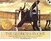 The Glorious Flight: Across the Channel with Louis Bleriot July 25, 1909 (Picture Puffins)