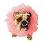 Zelda Queen Costume - Pet Costume