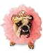 Zelda Queen Costume - Pet Costume