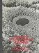 Book Laboratory and Field Manual of Ecology