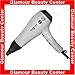 T3 Tourmaline 83888 Evolution Professional Ceramic Ionic Hair Dryer