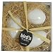 Bird's Nest Eggs Set of 3 Candles