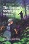 The Hessian's Secret Diary (Mysteries in Time Series)