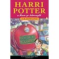 Harry Potter and the Philosopher's Stone :Harri Potter a Maen Yr Athronydd