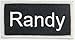 Randy Name Tag Patch Uniform ID Work Shirt Badge Embroidered Iron On Applique