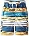 Kanu Surf Little Boys' Glide Swim Trunks