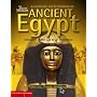 The British Museum Illustrated Encyclopaedia of Ancient Egypt (British Museum Illustrated Encyclopedias & Atlas)